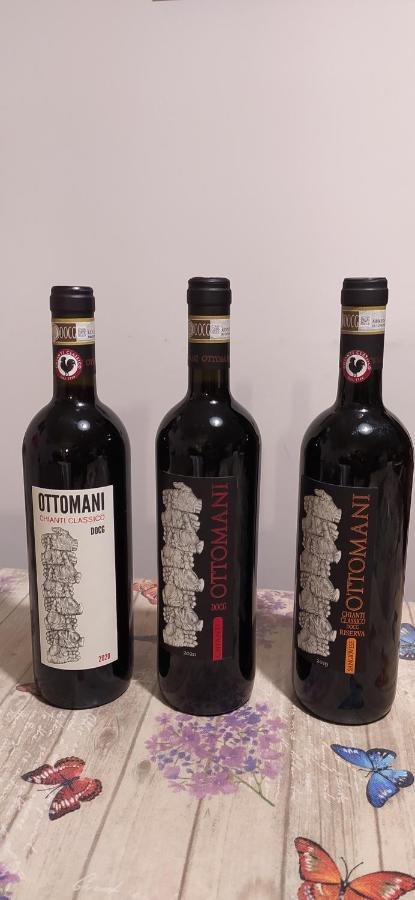 Appartamento Sezzate 40 Strada in Chianti Bagian luar foto